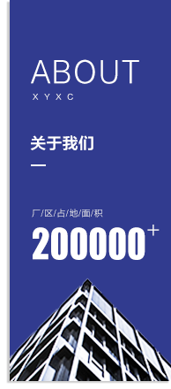 公司簡介
